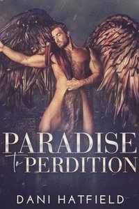bokomslag Paradise to Perdition