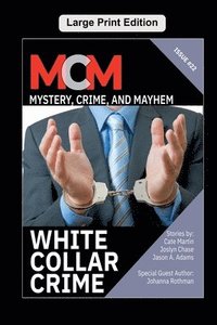 bokomslag White Collar Crime
