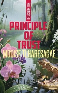 bokomslag Principle Of Trust