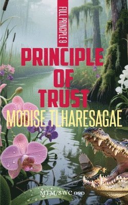 bokomslag Principle Of Trust