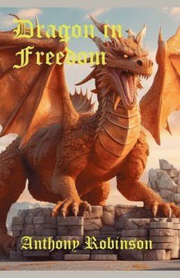 bokomslag Dragon in Freedom