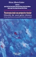 bokomslag Psicoterapia desde una perspectiva vincular. Diseo de una gua clnica