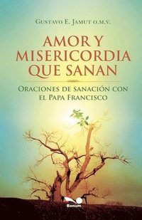 bokomslag Amor y misericordia que sanan