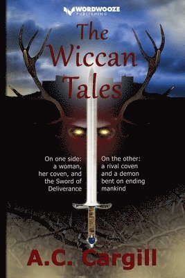 bokomslag Wiccan Tales