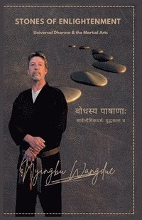 bokomslag Stones of Enlightenment