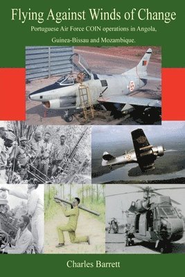 bokomslag Flying against winds of change