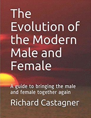 bokomslag Evolution of the Modern Male and Female
