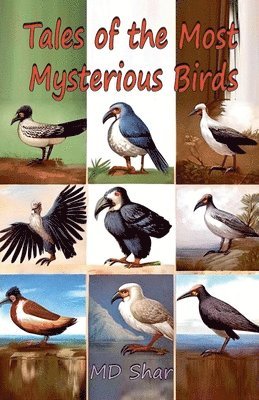 bokomslag Tales of the Most Mysterious Birds