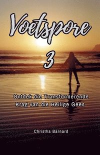 bokomslag Voetspore 3