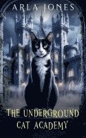 bokomslag The Underground Cat Academy