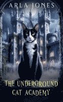 bokomslag Underground Cat Academy