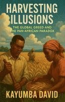 bokomslag Harvesting Illusions