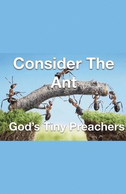 bokomslag Consider The Ant - God's Tiny Preachers