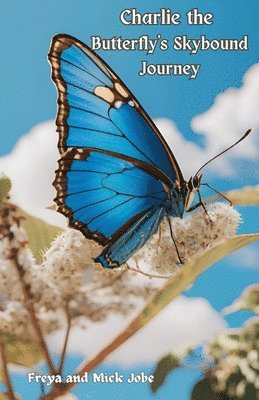 Charlie the Butterfly's Skybound Journey 1