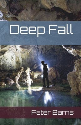 bokomslag Deep Fall