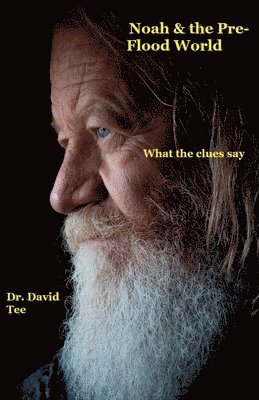 David Tee - Noah & The Pre-Flood World, Häftad