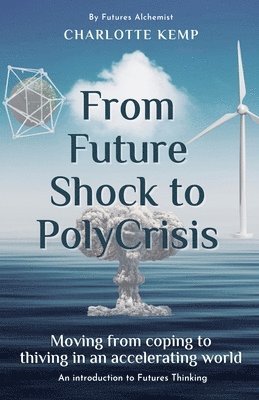 From Future Shock to PolyCrisis 1