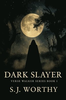 bokomslag Dark Slayer