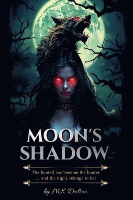 bokomslag Moon's Shadow