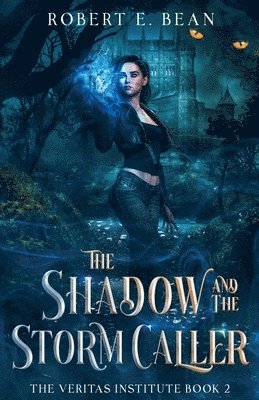 bokomslag Shadow and the Storm Caller