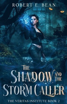 The Shadow and the Storm Caller 1