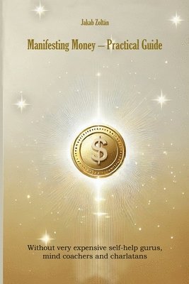 bokomslag Manifesting Money - Practical Guide