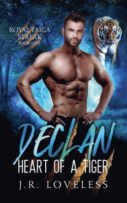 bokomslag Declan - Heart of a Tiger