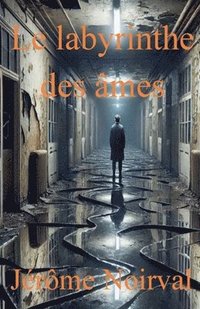 bokomslag Le labyrinthe des âmes
