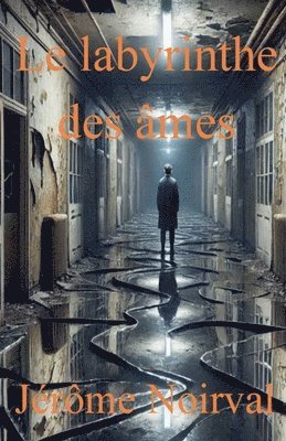 bokomslag Le labyrinthe des âmes