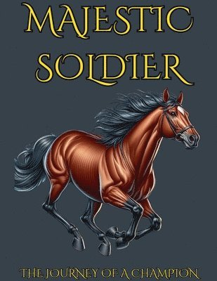 Majestic Soldier The Journey Of A Champion 1