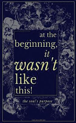Vinicius Capucho - At The Beginning, It Wasn't Like This, Häftad