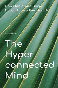 bokomslag Hyperconnected Mind How Media And Social Networks Are Rewiring Us