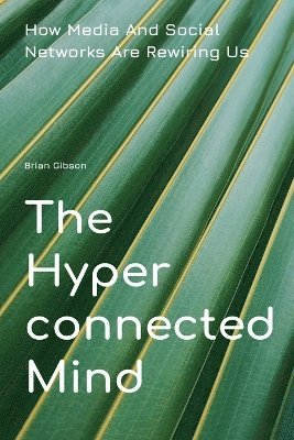 bokomslag Hyperconnected Mind How Media And Social Networks Are Rewiring Us