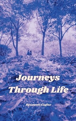 bokomslag Journeys Through Life