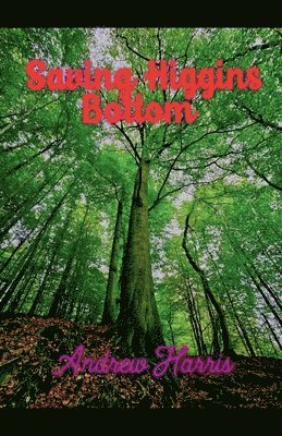 Saving Higgins Bottom