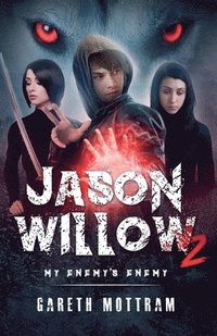 bokomslag Jason Willow 2 - My Enemy's Enemy