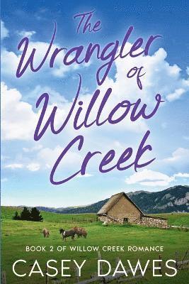 bokomslag Wrangler of Willow Creek