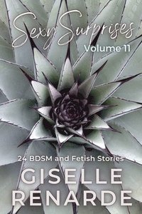 bokomslag Sexy Surprises Volume 11: 24 BDSM and Fetish Stories