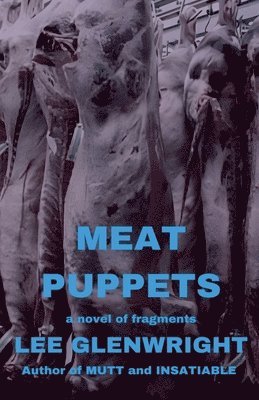 bokomslag Meat Puppets