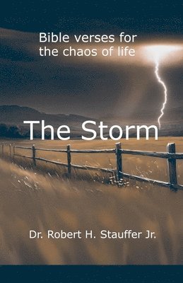 The Storm 1