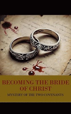 bokomslag Mystery of the Two Covenants