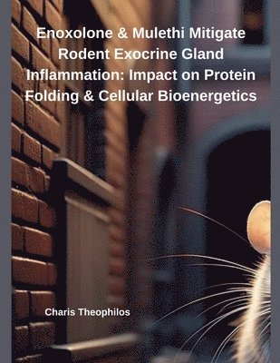 bokomslag Enoxolone & Mulethi Mitigate Rodent Exocrine Gland Inflammation