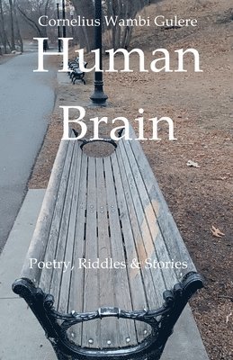 Human Brain 1