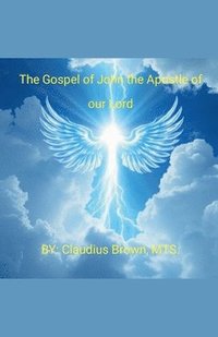 bokomslag The Gospel of John the Apostle of our Lord