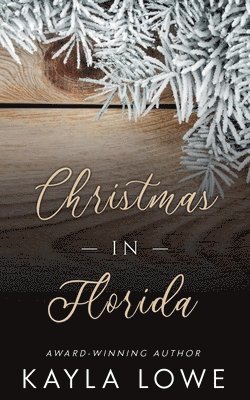 Christmas in Florida 1