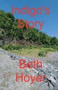 bokomslag Indigo's Story