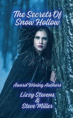 bokomslag Secrets Of Snow Hollow