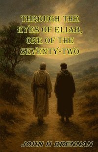 bokomslag Through the Eyes of Eliab, One of the Seventy Two