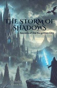 bokomslag The Storm Of Shadows