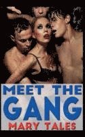 bokomslag Meet The Gang